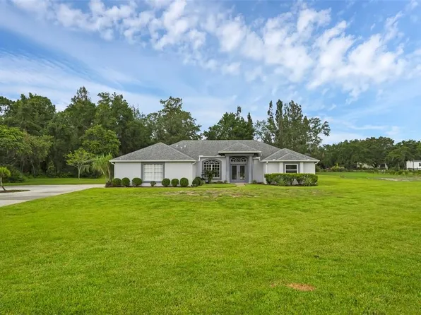 15038 Willow Ln, Tavares, FL 32778