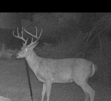 62nd image of this home