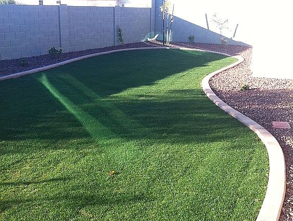 Back yard