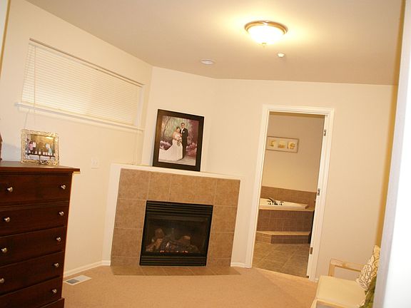 Fireplace in Master Bedroom
