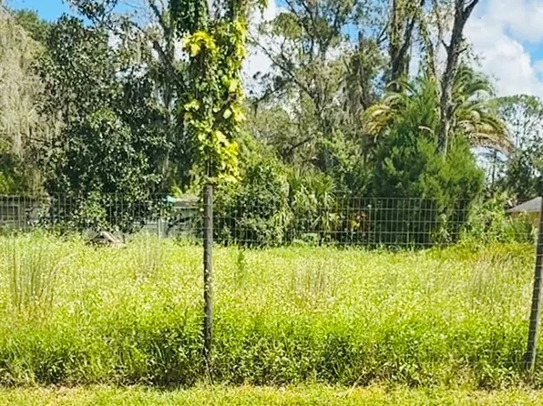 1229 Cupid Ave Lot 13, Christmas, FL 32709