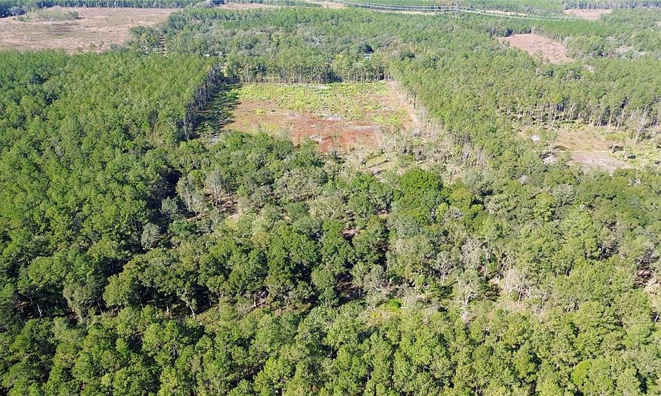 NE 92nd Avenue Rd 5, Fort Mc Coy, FL 32134 Zillow