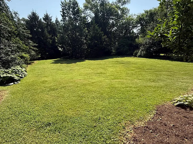 1131 Marion Ave — Photo 12