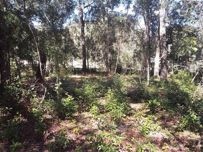 2012 Falkner St Lot 29, Inverness, FL, 34453