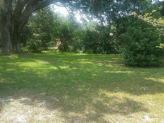 Back yard with a Live Oak.
