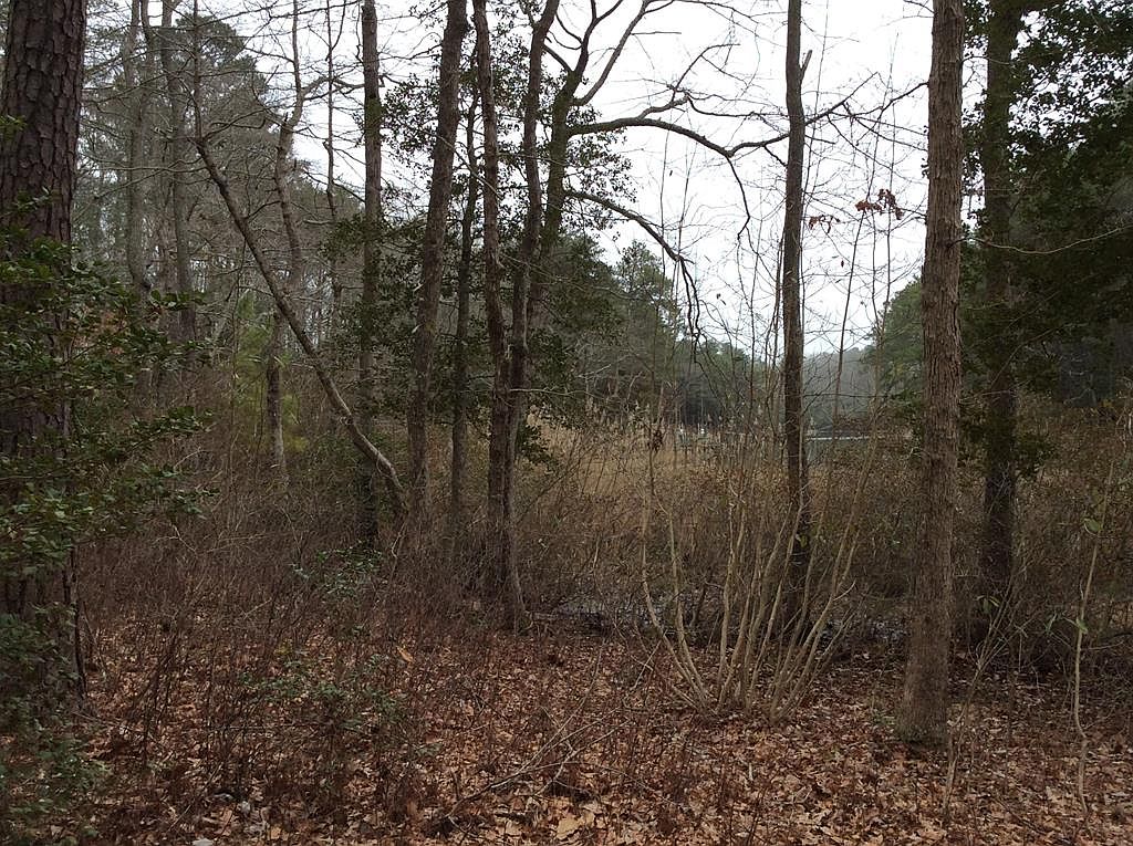 0 Hall Farm Dr, Church, VA 22579 MLS 115693 Zillow