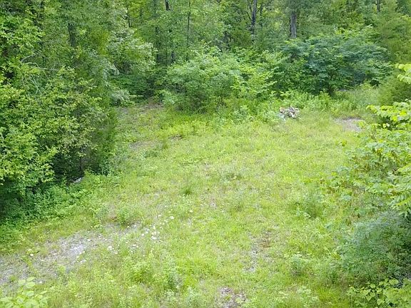 5th image of 168 Gregory Ln
