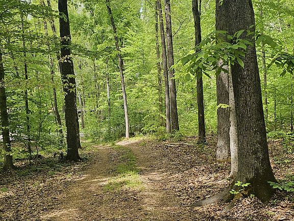 4th image of 2225 Caney Branch Rd