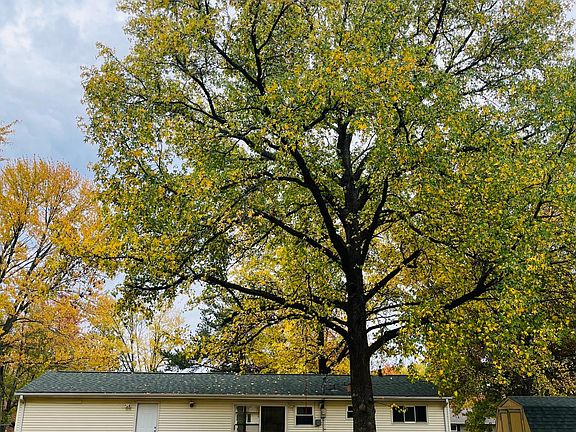5th image of 118 Flesher Dr