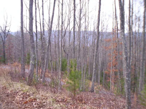 270 Fence Rail Gap Rd, Walland, TN 37886