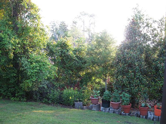 5th image of 1065 Napa Way