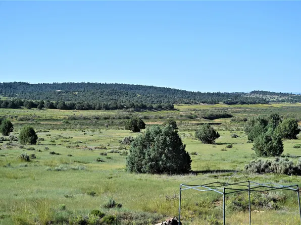 Shroyer Dr, Los Ojos, NM 87551