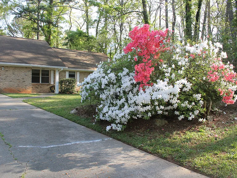 3688 Idle Creek Dr — Photo 2