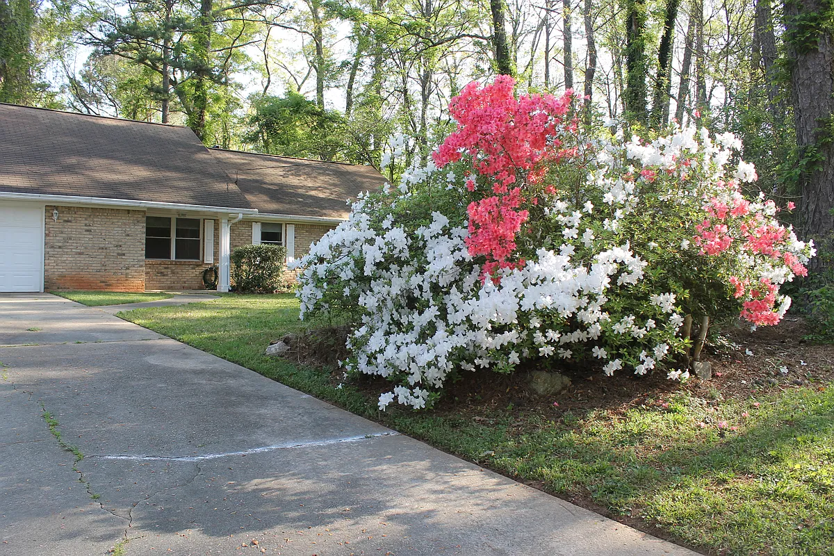 Building Photo - 3688 Idle Creek Dr