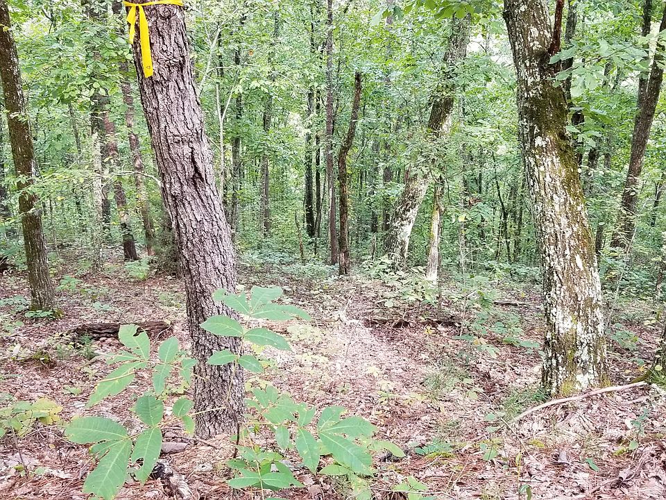 1st image of Dogwood Dr