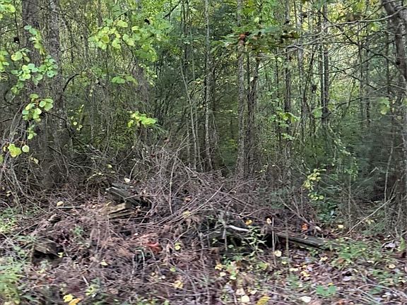 3rd image of TBD Mountain Lake Road