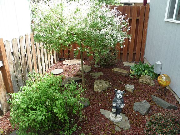 North side rock garden