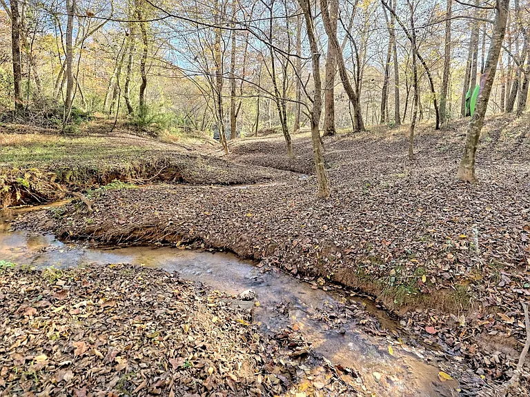 Creek that runs through the back yard