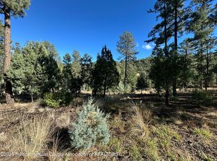 152 Del Monte Dr, Alto, NM 88312