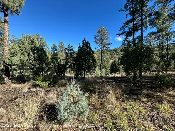 152 Del Monte Dr, Alto, NM 88312