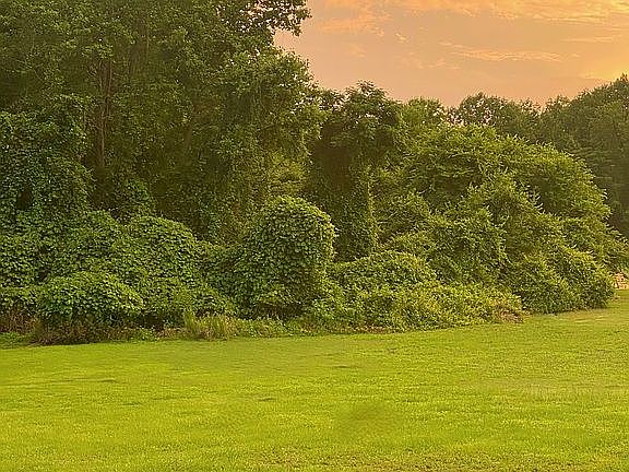 2nd image of 370 Moonlight Dr