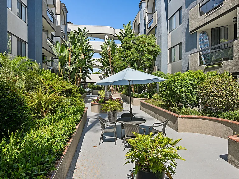 Palm Court — Photo 20