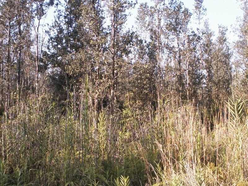 1st image of Azure Dr Lot 50