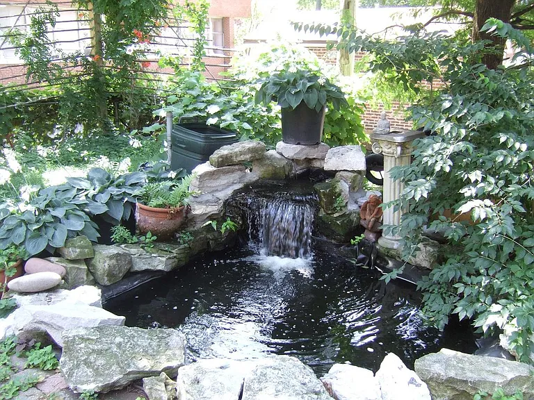 Rear yard pond