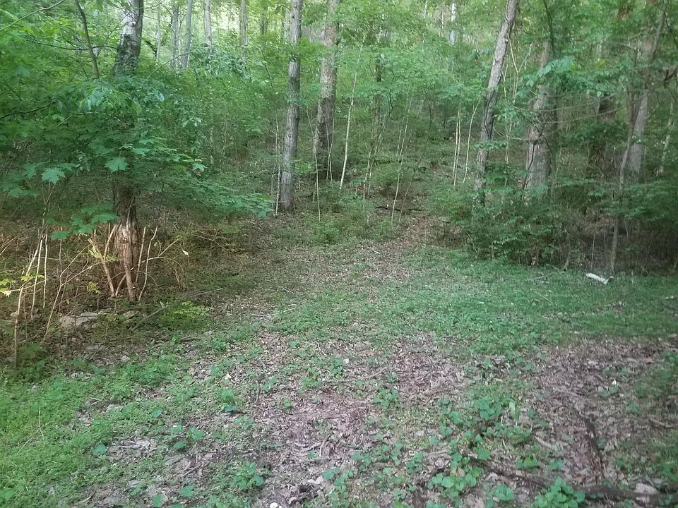 2nd image of 0 Gann Store Rd #10