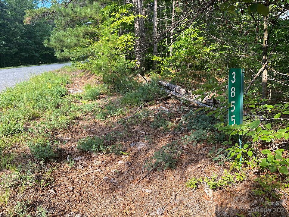 2nd image of 3855 Back Bluff Dr