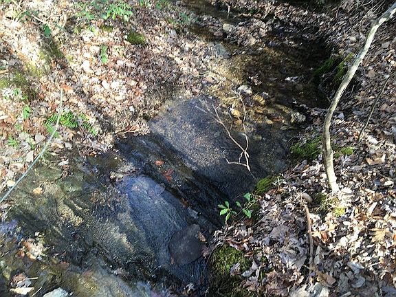 5th image of Blackberry Ln