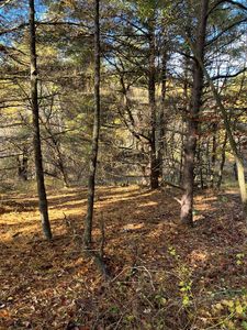 149-6-4 Stetson Rd, Galax, VA, 24333