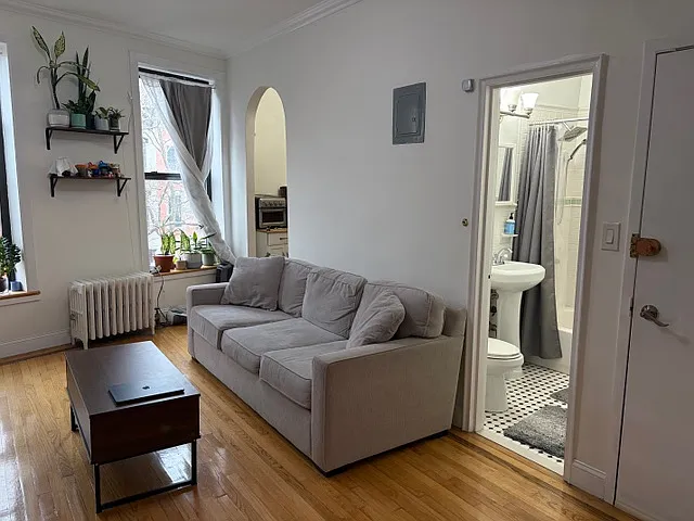 270 Flatbush Ave #3F — Photo 3