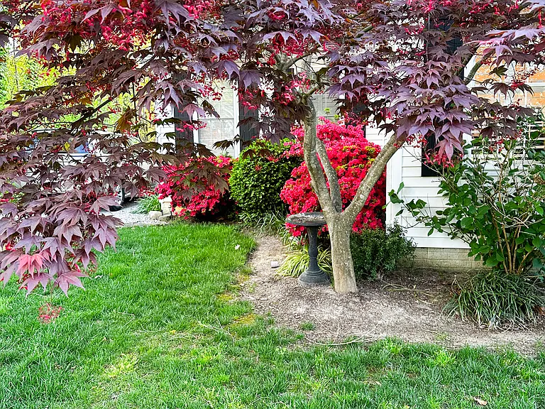 8907 Jameson St — Photo 7