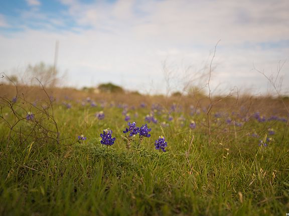 5th image of 1843 Savanna Ridge Ranch Rd LOT 20.02
