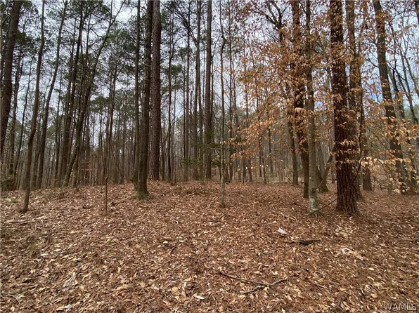 0 Olivewood Rd, Coker, AL 35452