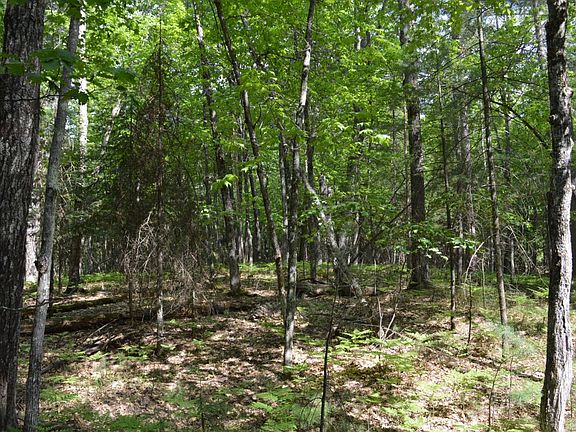 5th image of Birchwood Dr Lot 11