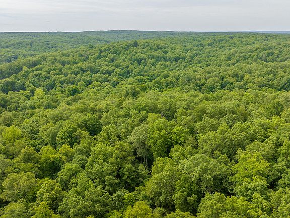 5th image of 264 County Road 4290