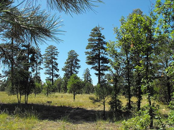 5th image of 2257 Pine Canyon Dr