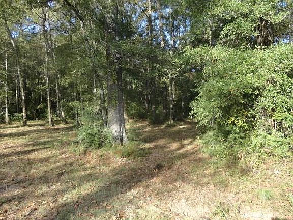 4th image of Deer Creek Dr