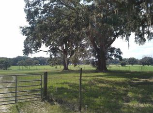 11242 County Road 229, Oxford, FL 34484