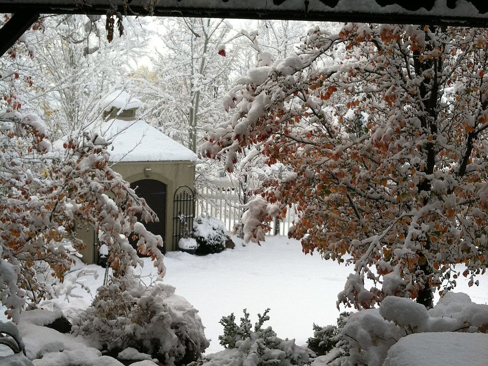 2nd image of 1253 W Stone Creek Ln