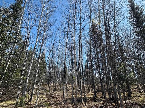 Old 69 Rd, Crystal Falls, MI 49920