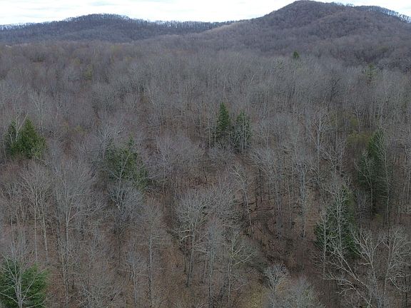 5th image of 4042 Tioga Rd