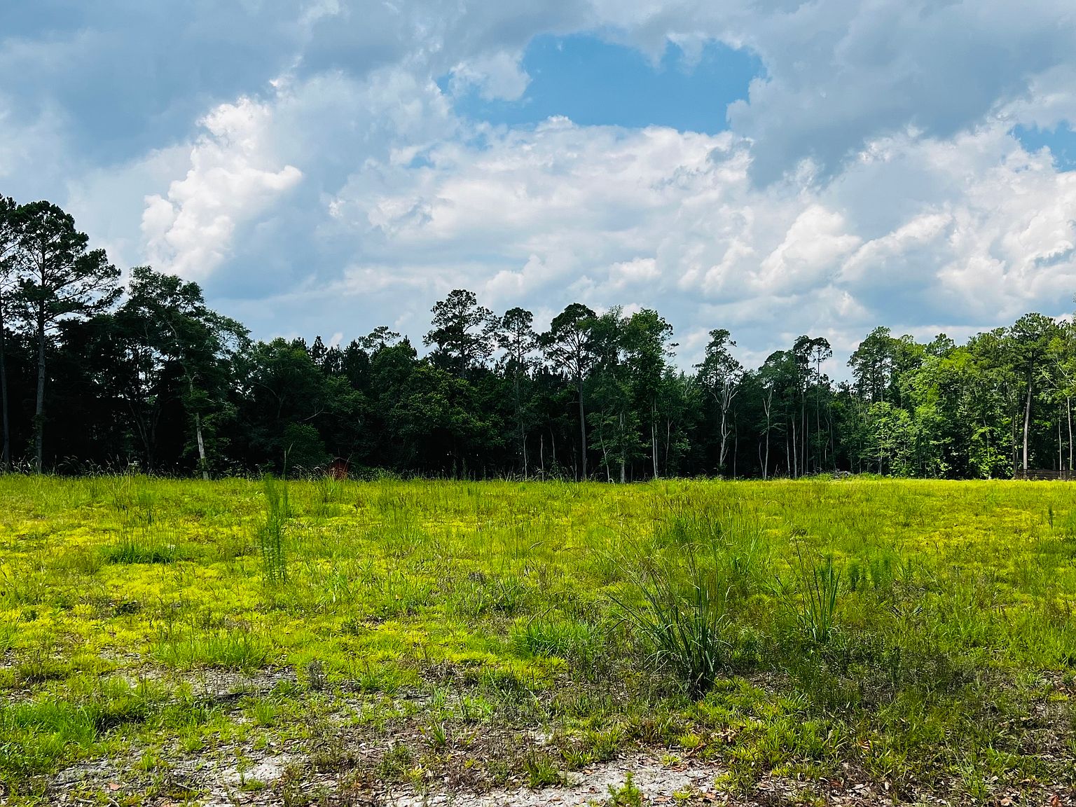 0 N Main St, Reidsville, GA 30453 Zillow