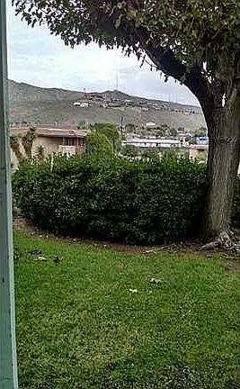 4th image of 4141 Westcity Ct APT 131