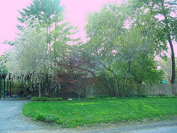 Front yard