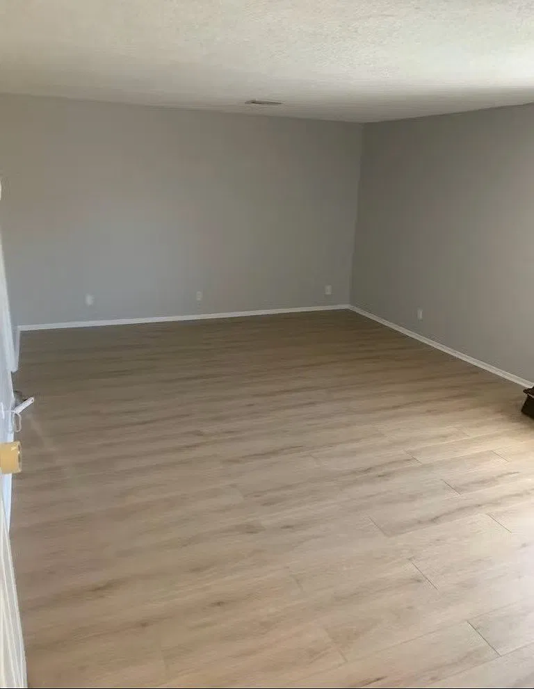 4371 Flandes St — Photo 3
