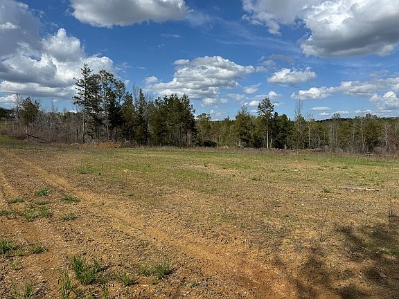 5th image of 0 Lowndes Country