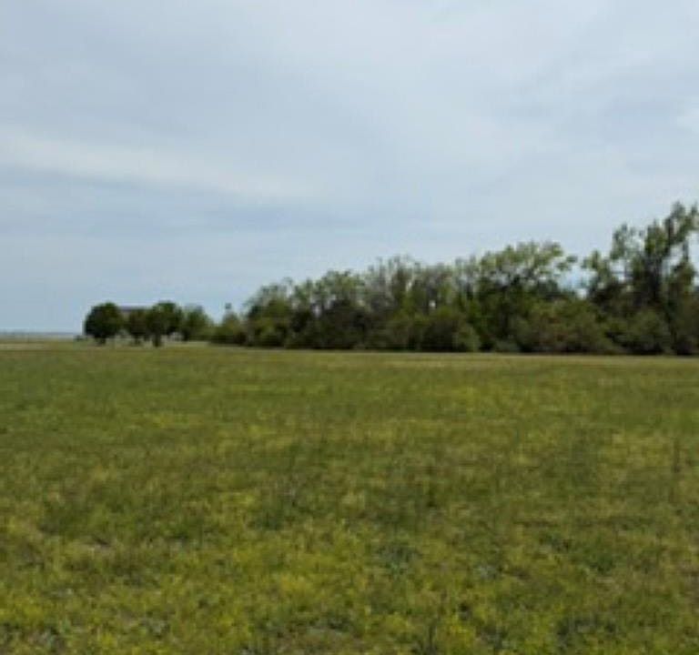 1st image of 116 Hammock View Ct Lot 12